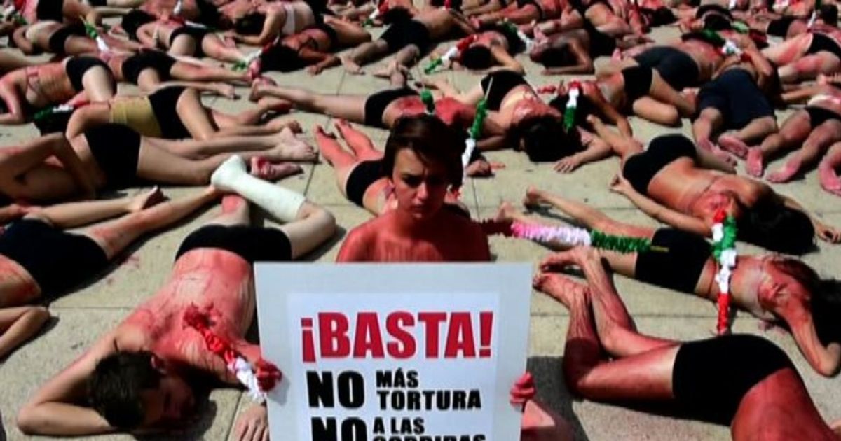 Video News 09/02/2016