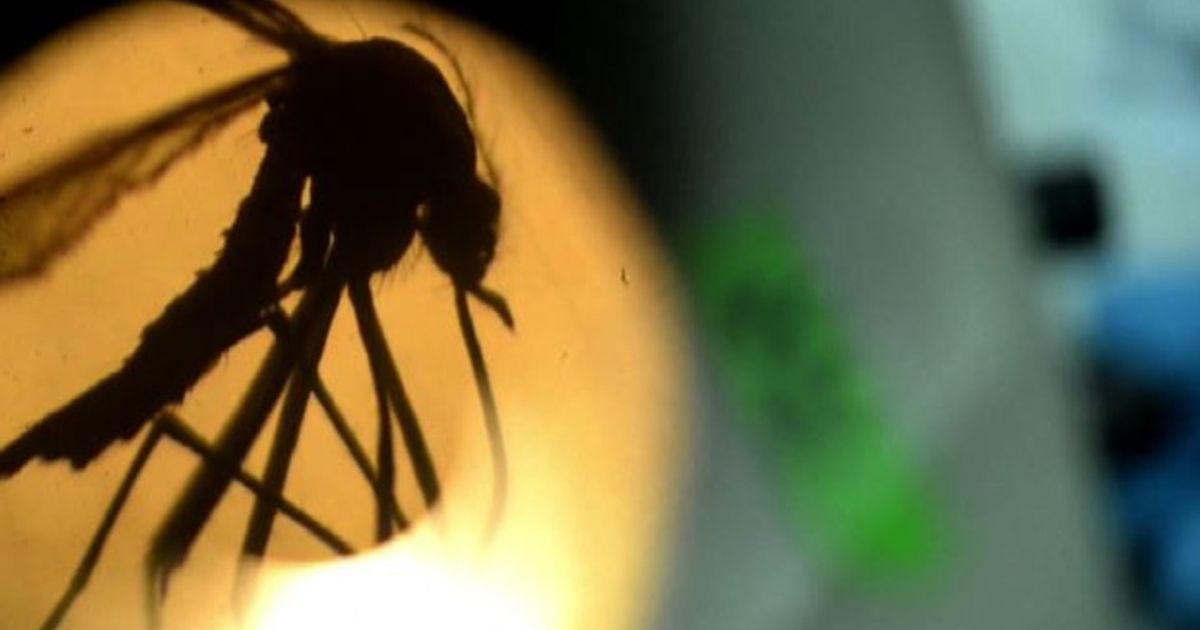 Video News 09/02/2016