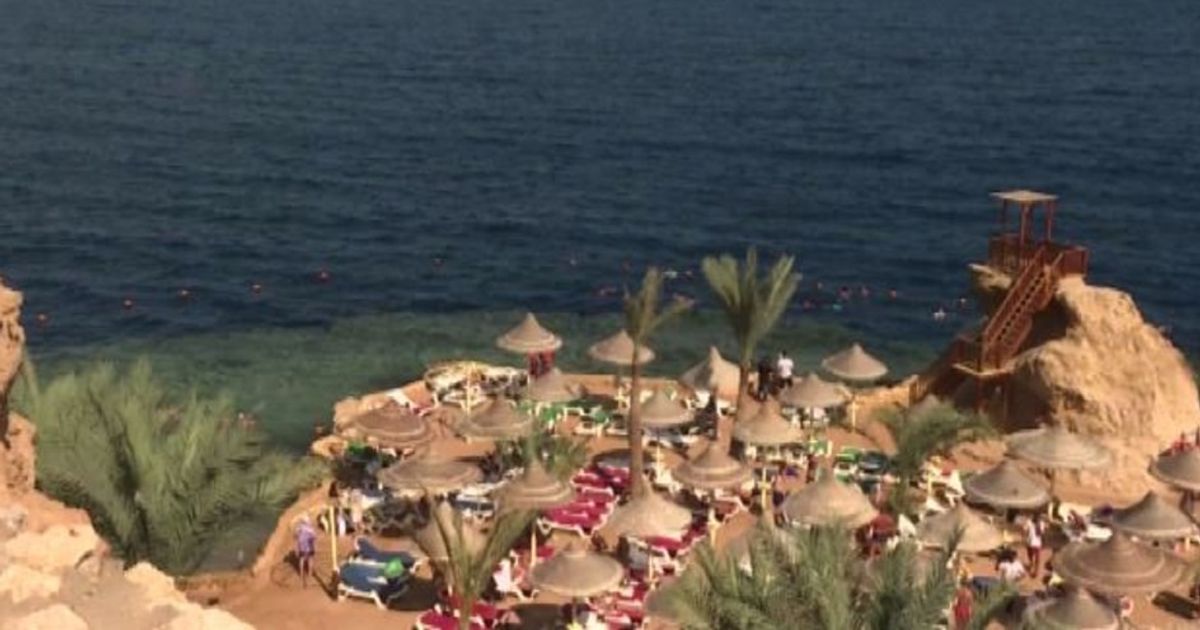 Video News 10/02/2016