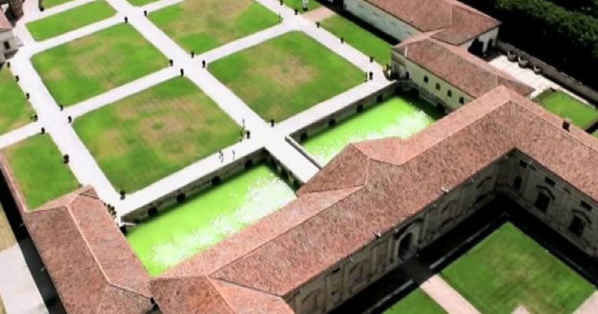 Video News 12/02/2016