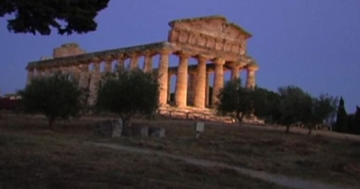 Video News 12/02/2016