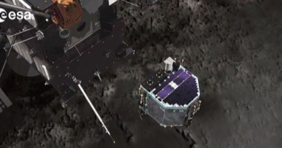 Video News 12/02/2016