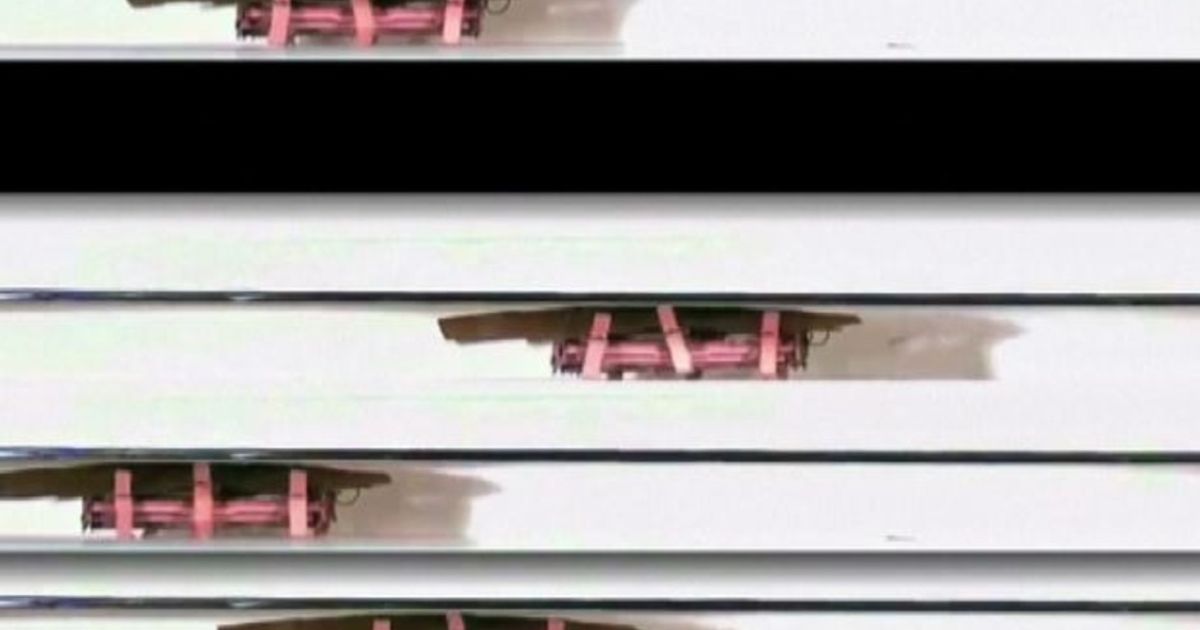 Video News 14/02/2016