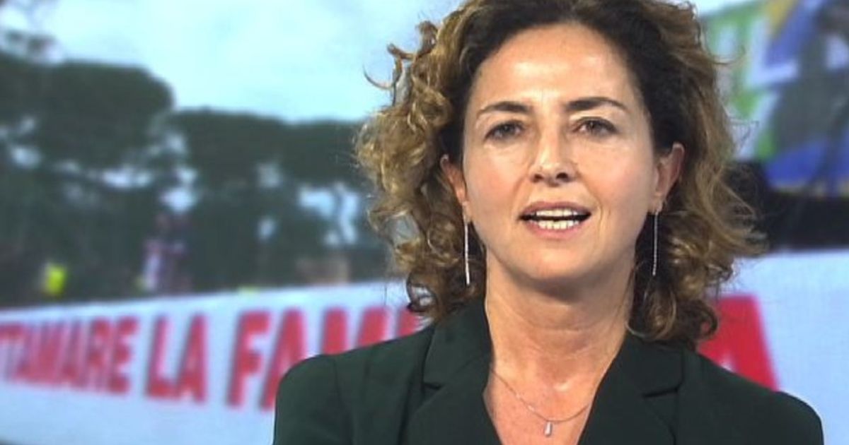 Video News 15/02/2016