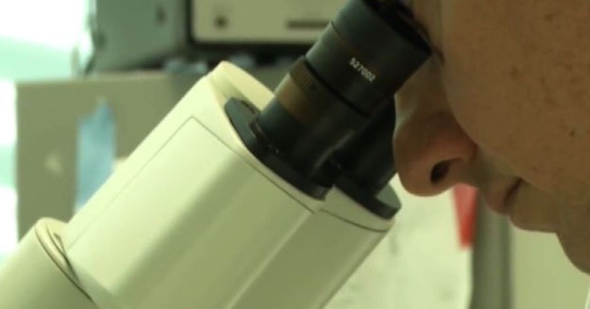 Video News 16/02/2016