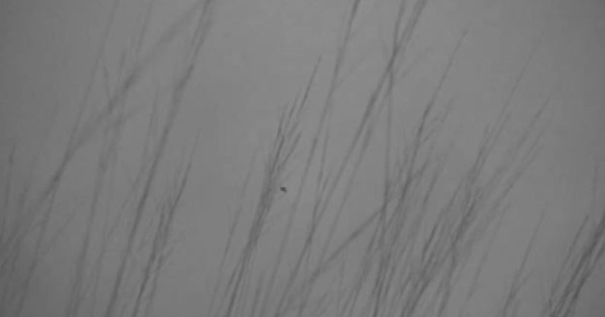 “Uno stupro in scena”: il Covent Garden avverte gli spettatori