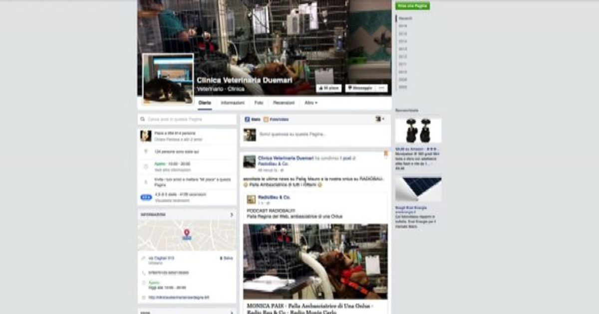 Mauro, il cagnetto nero di Oristano che commuove il web