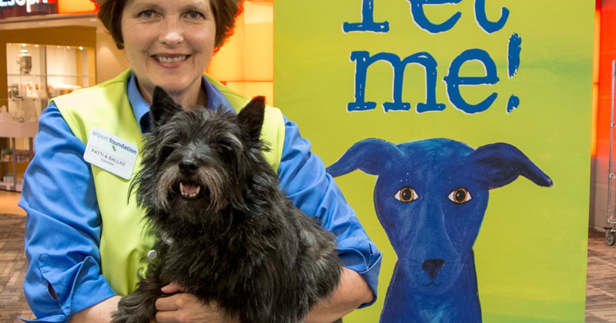 Cuccioli usati in aeroporto contro la paura di volare