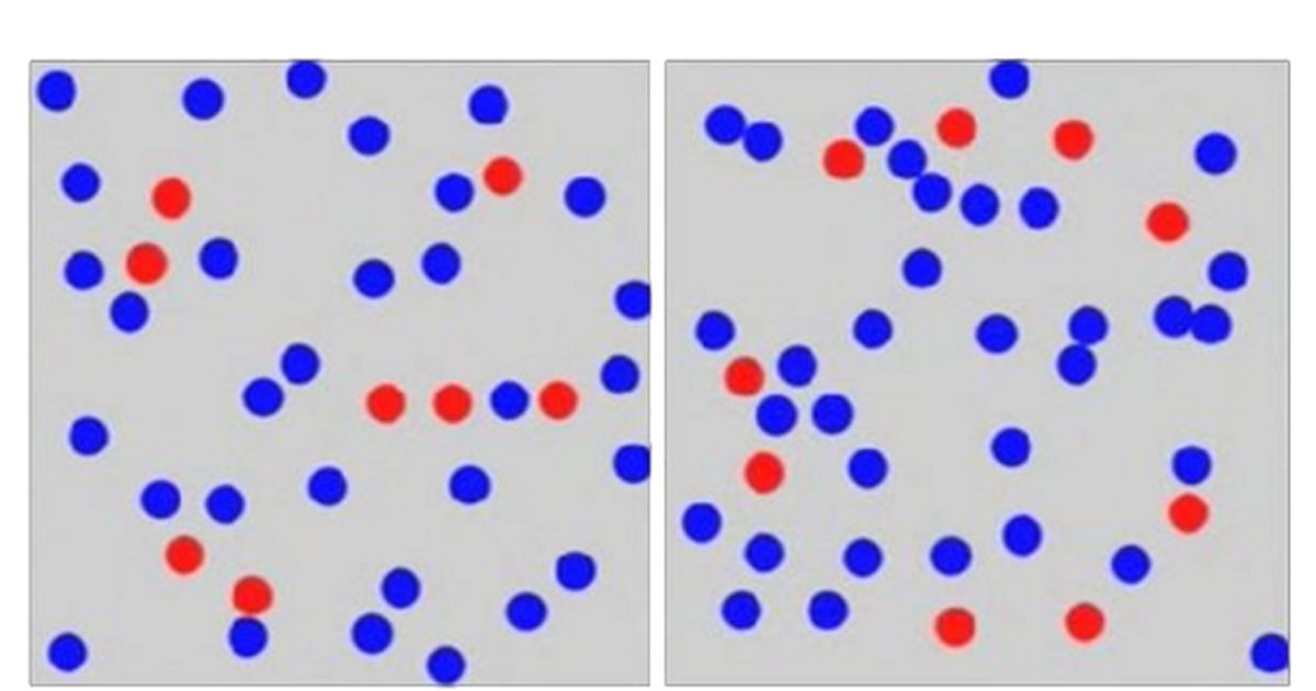 Combinando queste due immagini, compare una lettera: quale?