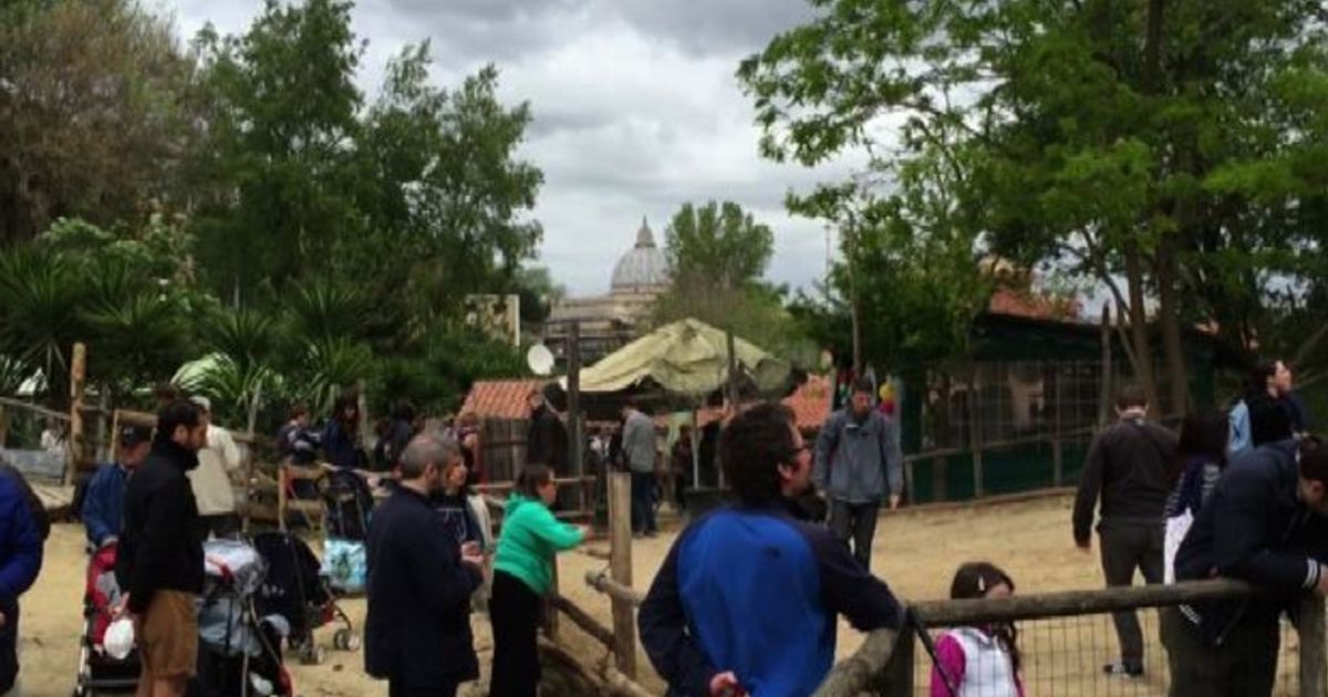 Good Deeds Day: a Roma una fattoria urbana con vista sul cupolone