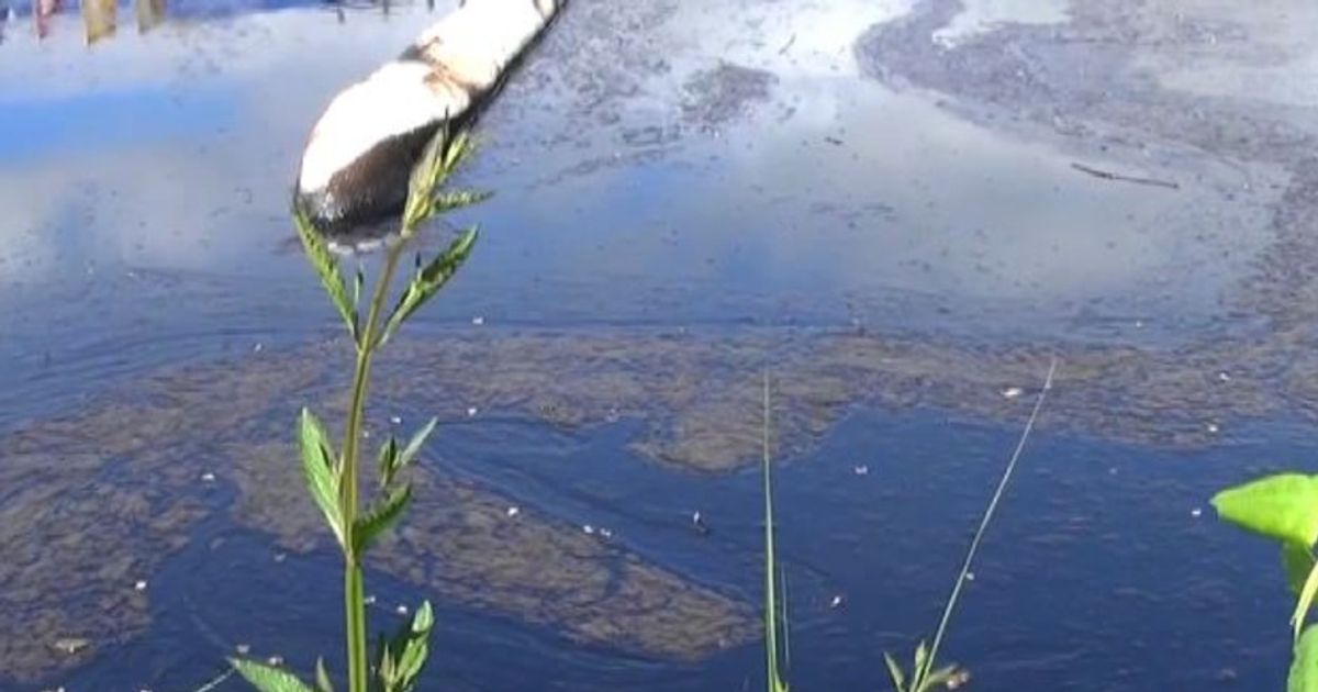 A Genova sversamento di petrolio in due torrenti