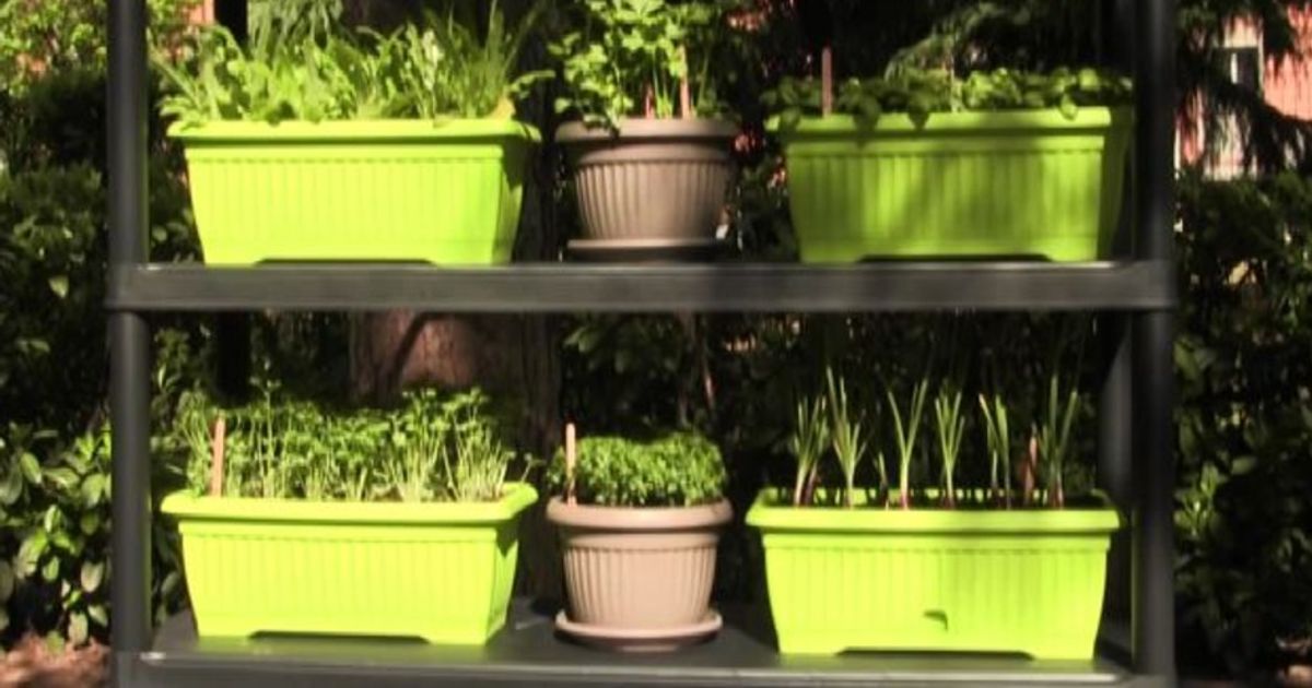 Piatti di plastica riciclati in orti per le materne milanesi