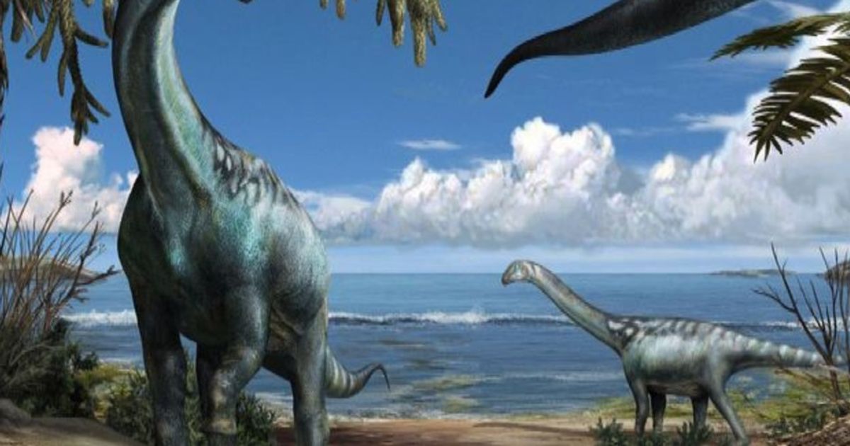 Milano scoperto Tito un nuovo dinosauro sauropode 8220italiano8221