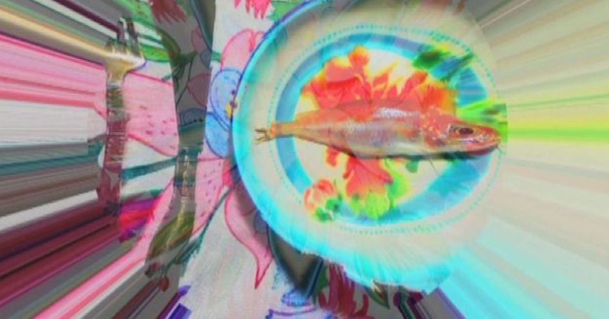 Streamcolors, la nuova arte digitale “generativa” made in Italy