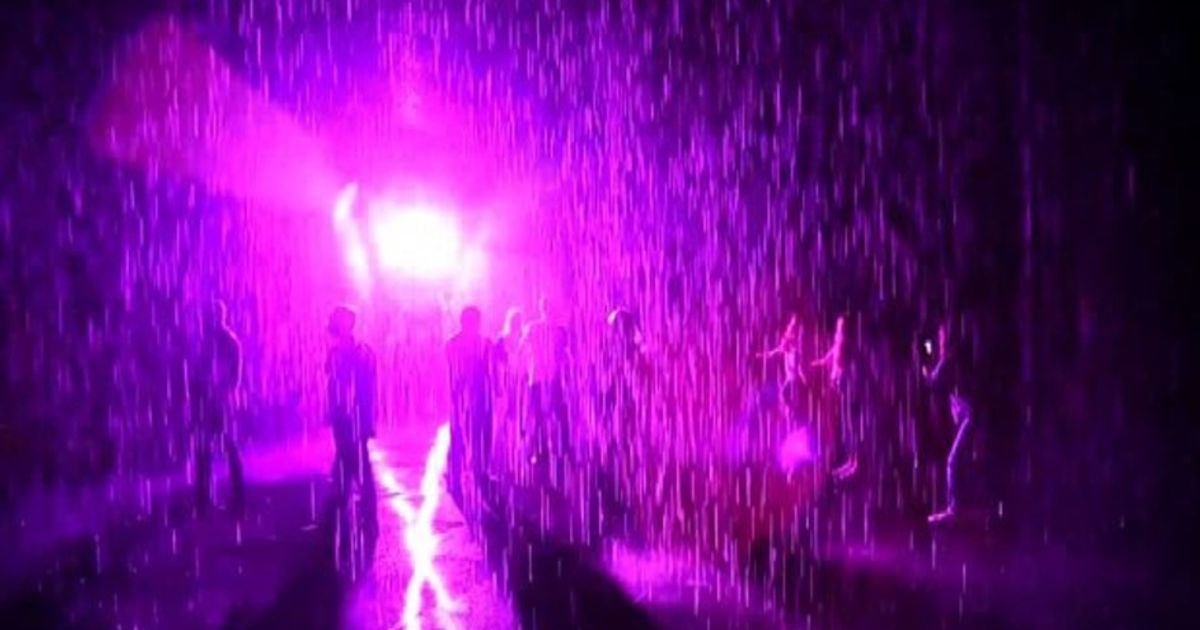 Una pioggia viola in ricordo di Prince a Los Angeles