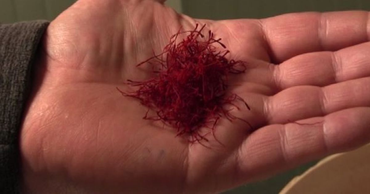 La collina d’oro, lo zafferano che cresce in riva al lago di Como