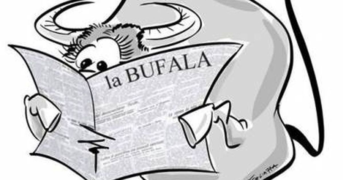 Bufale in rete. Le false notizie che circolano nel web