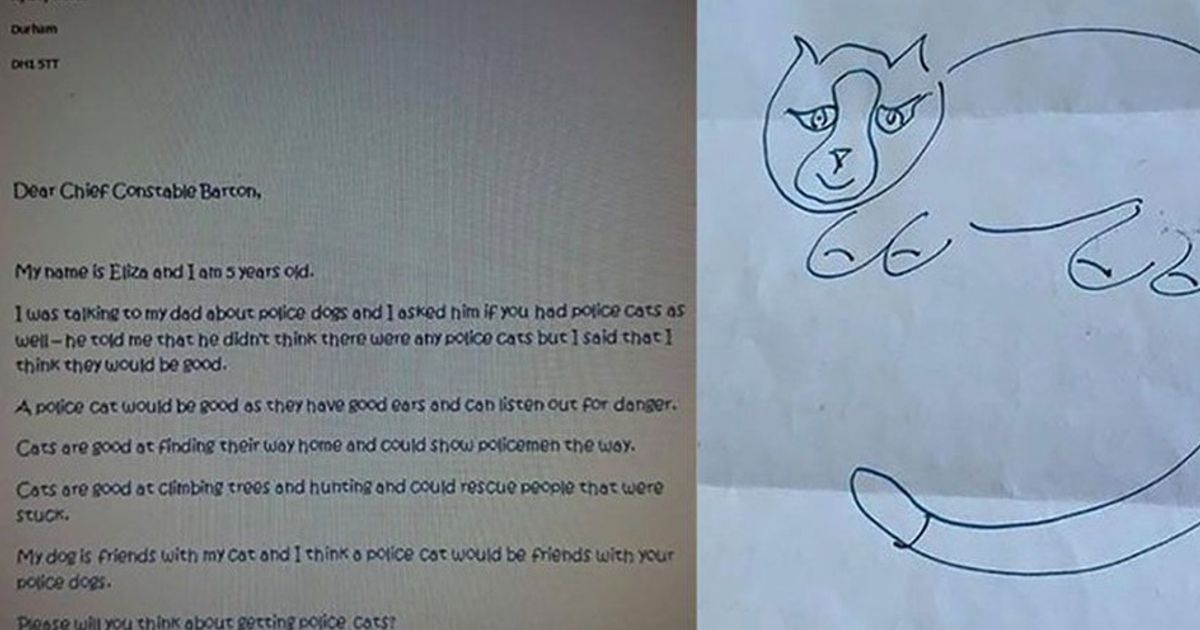Perché non ci sono i gatti poliziotto? Il capo della polizia risponde con un disegno