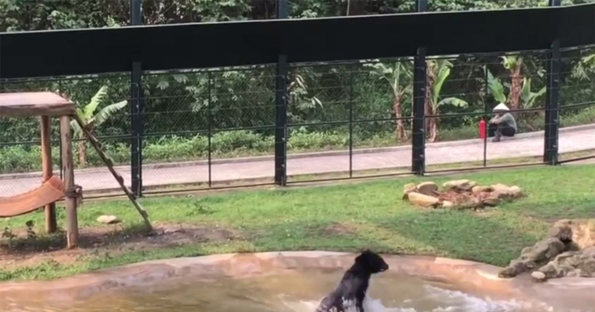 Tuffy, l’orso più felice del mondo!