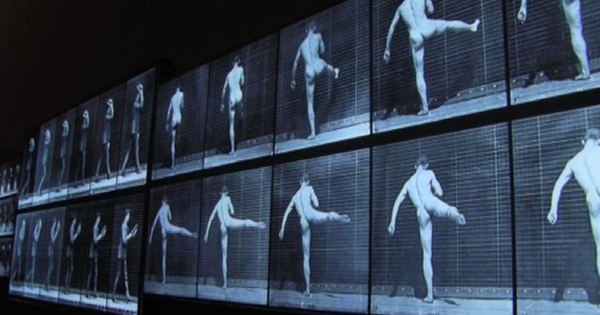 Il movimento ricostruito: Eadweard Muybridge torna a Milano