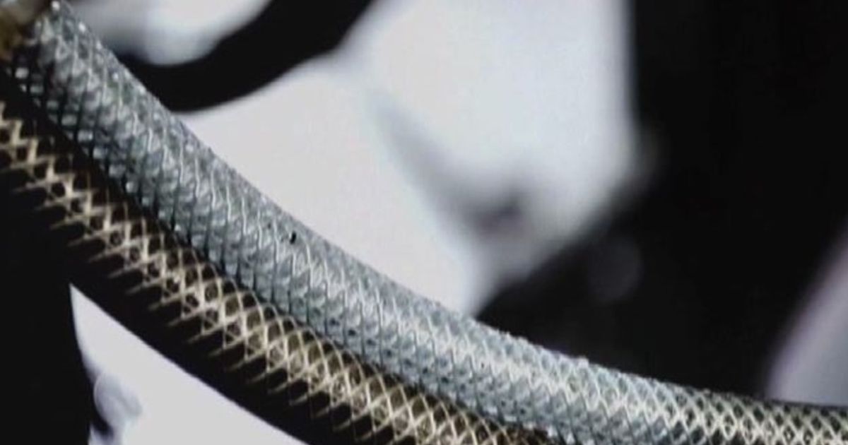 Ambiente, oltre 68.700 t. di materie prime riciclate dai RAEE