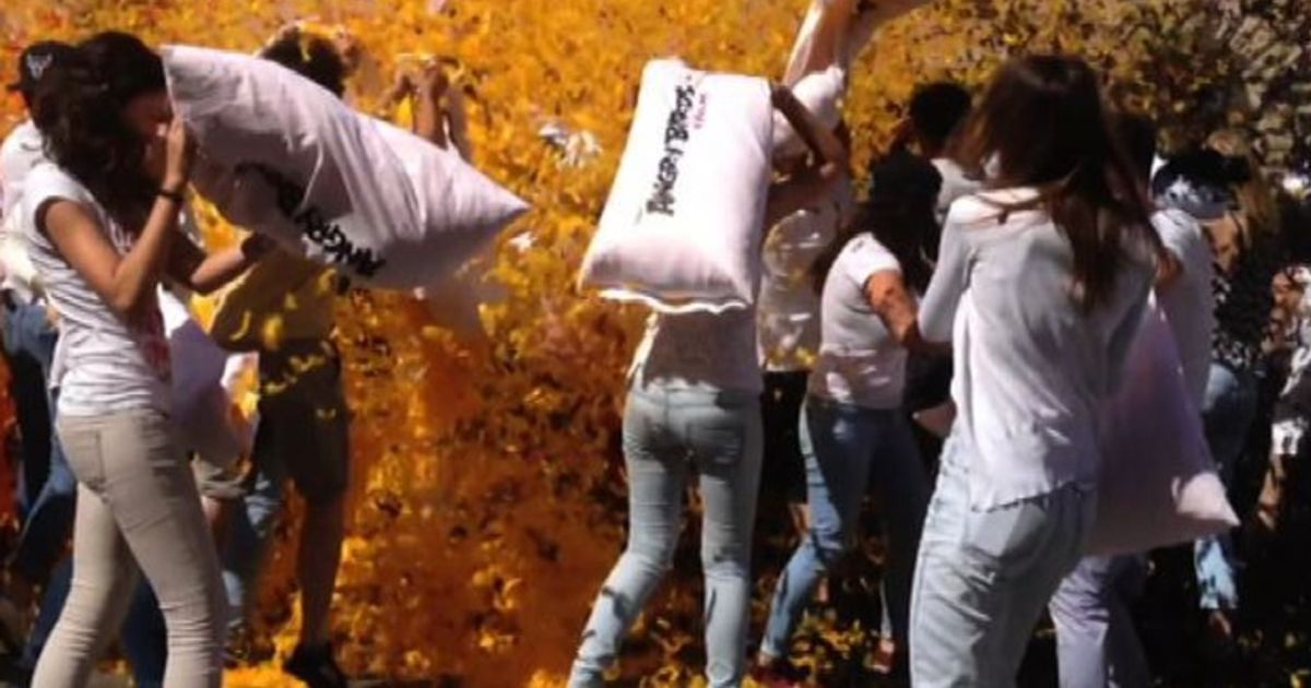 Flash mob per “Angry Birds”, cuscinate e piume in piazza a Roma