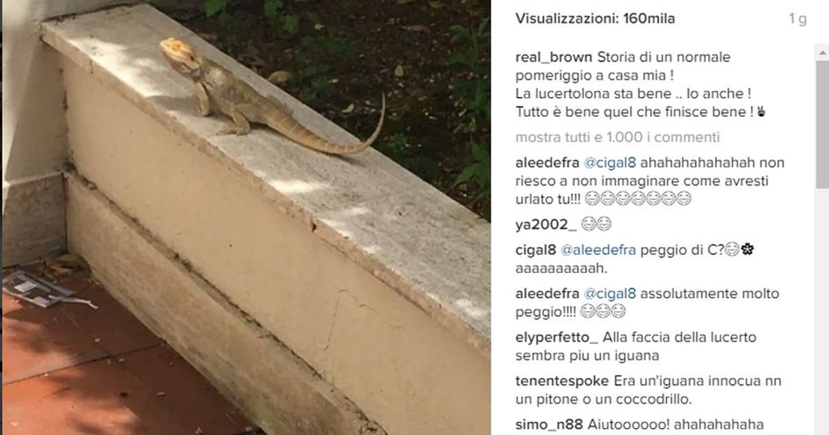“Ho un’iguana in giardino” il video di Emma
