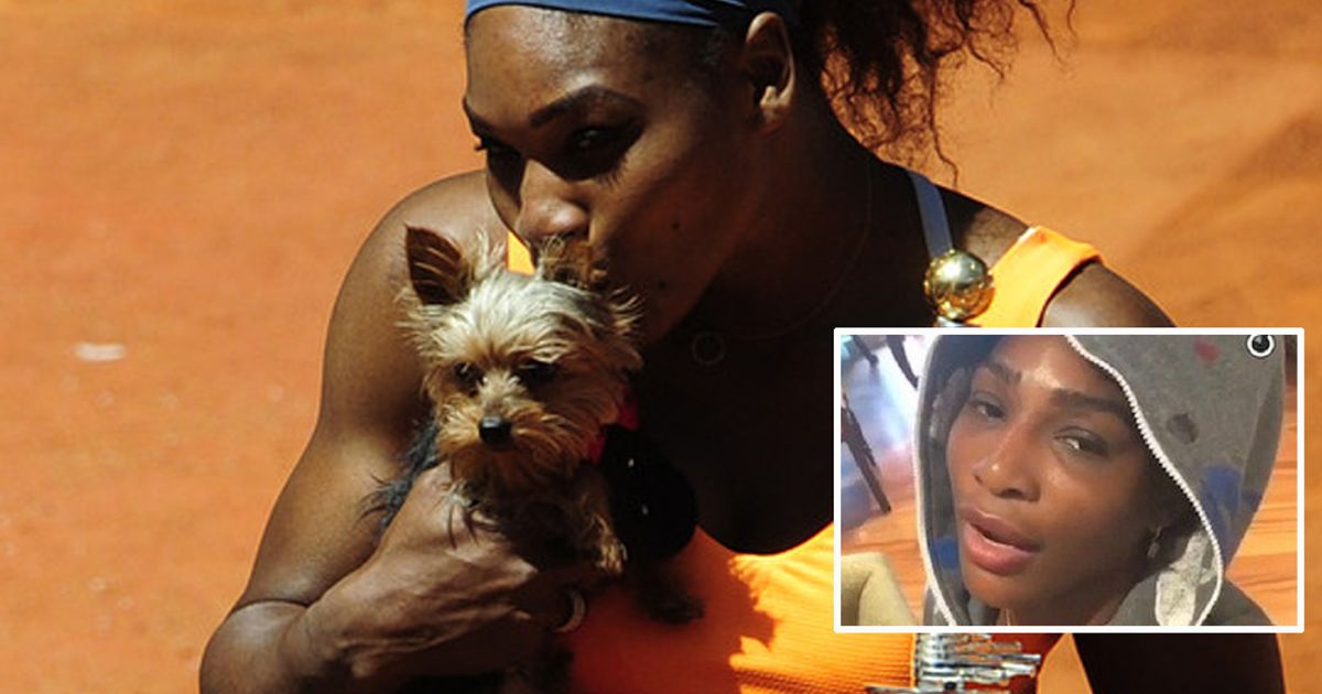 Serena Williams cena con il cibo del cane e fa ‘ace’ (in bagno)