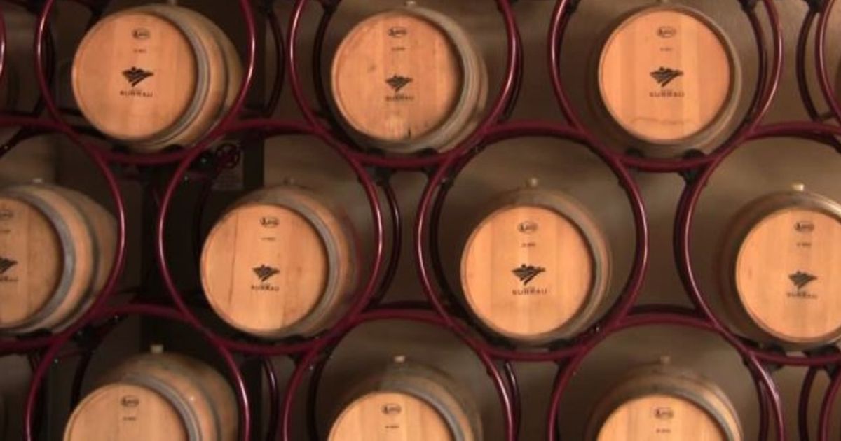 Vigne Surrau, i profumi della Gallura racchiusi in una bottiglia