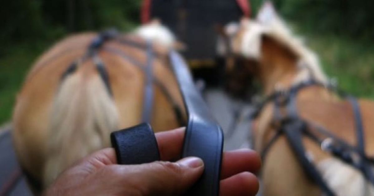 Il grande ritorno del Cirque Bidon in Italia dopo 15 anni