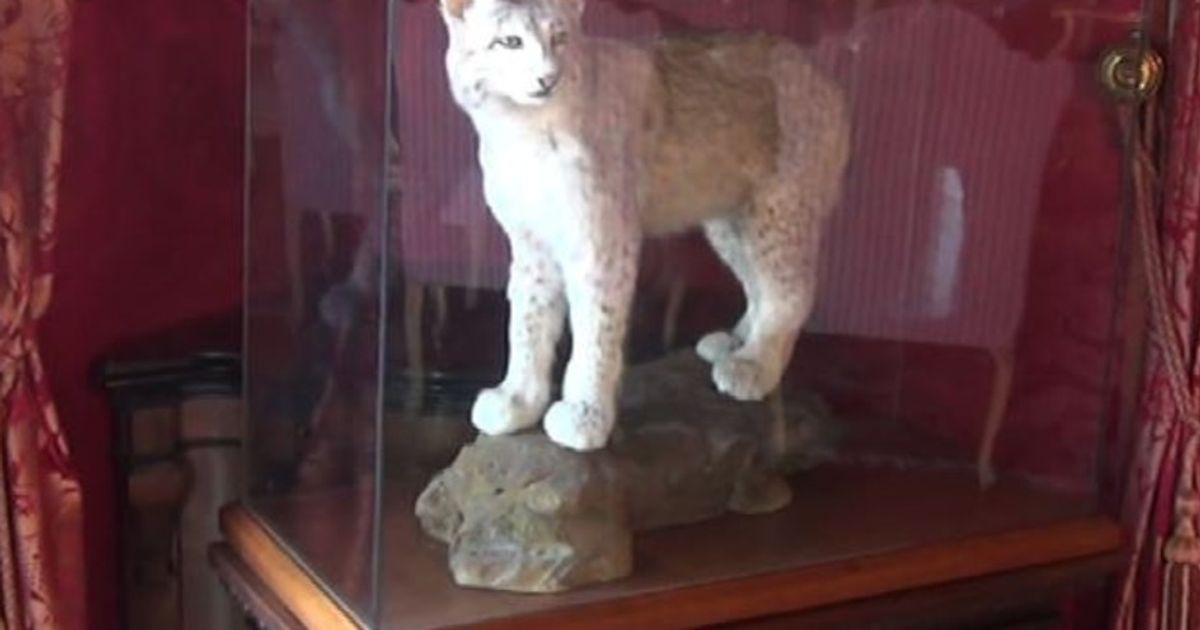 Lincei, Accademia attenta ai giovani e ai temi dello sviluppo