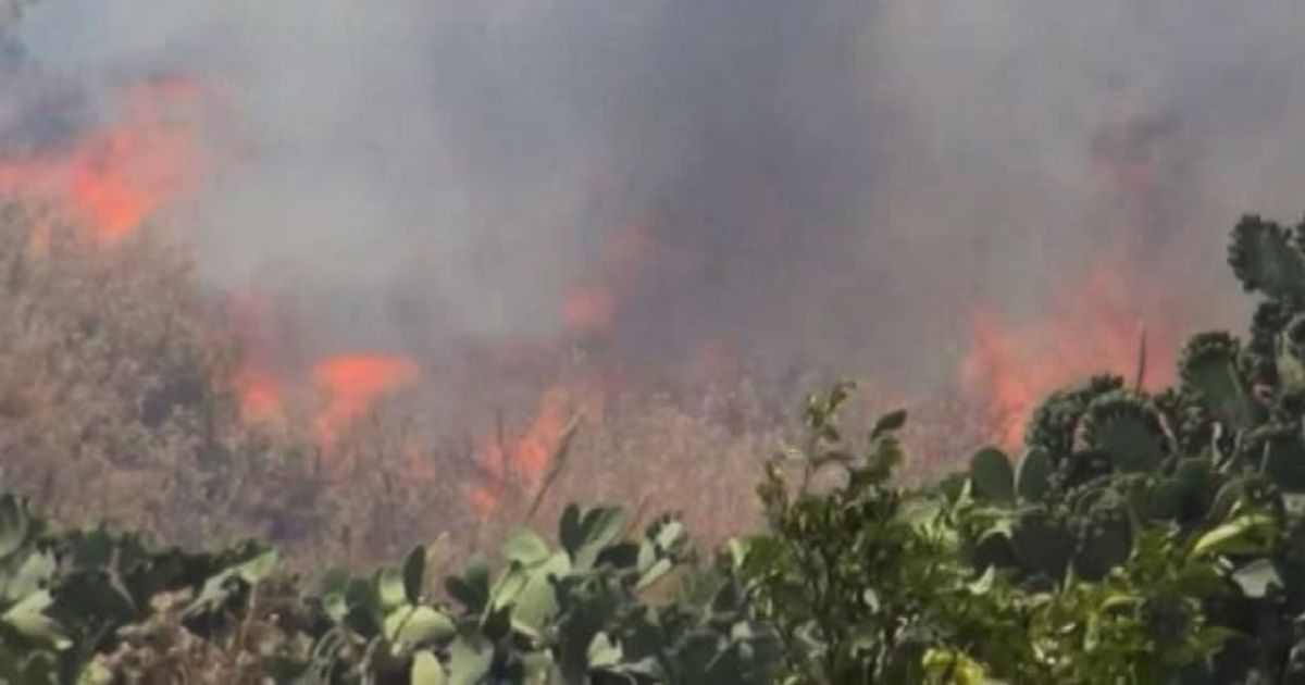 Palermo nella morsa degli incendi, case e scuole evacuate