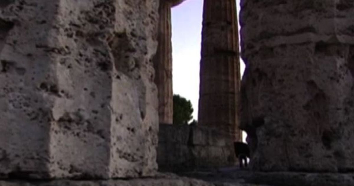 A Paestum aperture serali, spettacoli e biglietto annuo a 15 euro