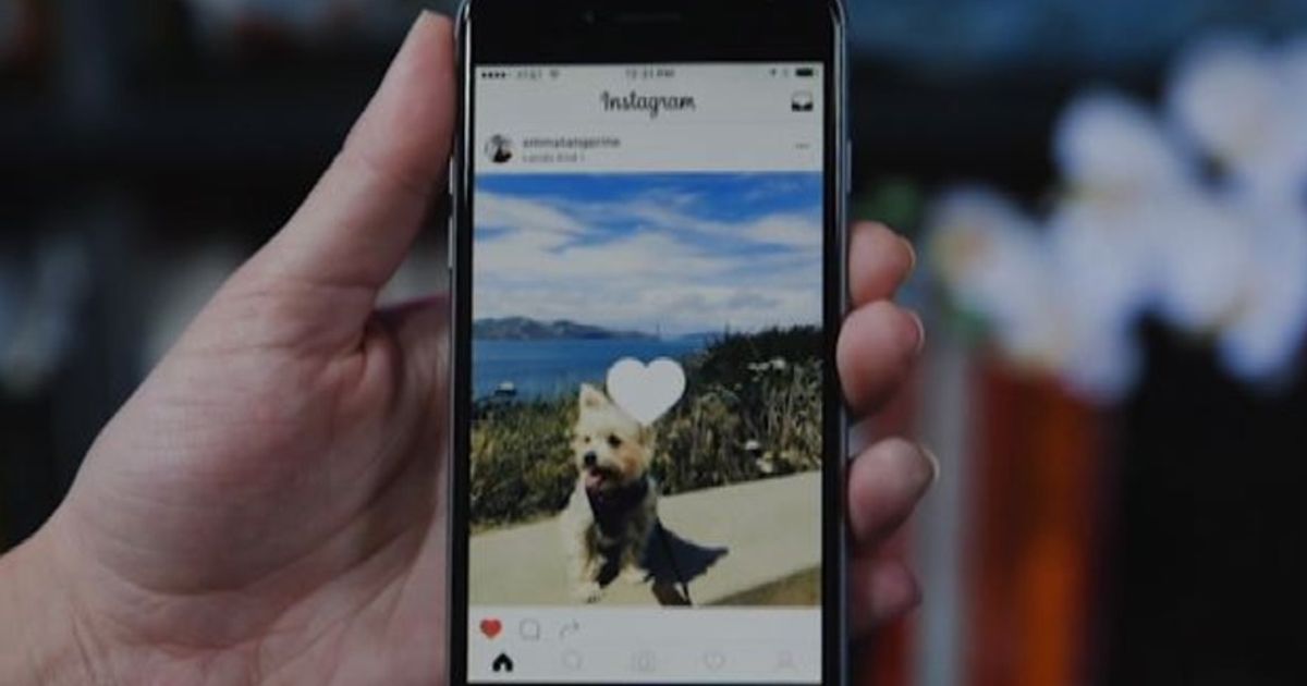Novità su Instagram: ora suggerisce anche i video