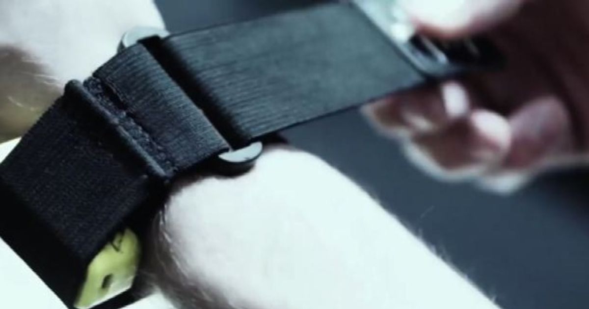 Beast technologies, il fitness tracker per un “fisico bestiale”