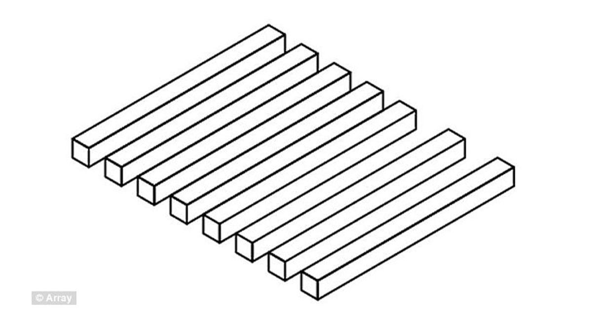Illusione ottica: quante barre ci sono?