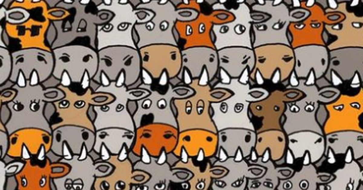 Caccia all’intruso: tra queste mucche si nasconde un cane