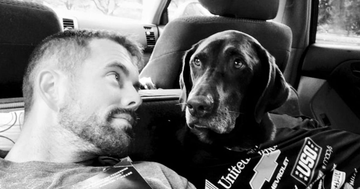 Il viaggio di addio insieme al fedele cane che sta per morire