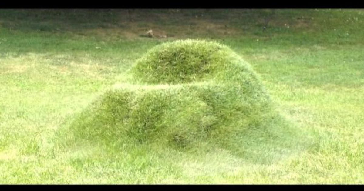 NUCLEO e la poltrona d’erba 2.0: ritorna il progetto TERRA!