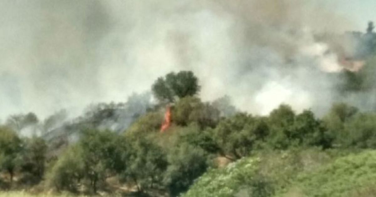 Roma, maxi-rogo al Parco del Pineto in zona Montemario