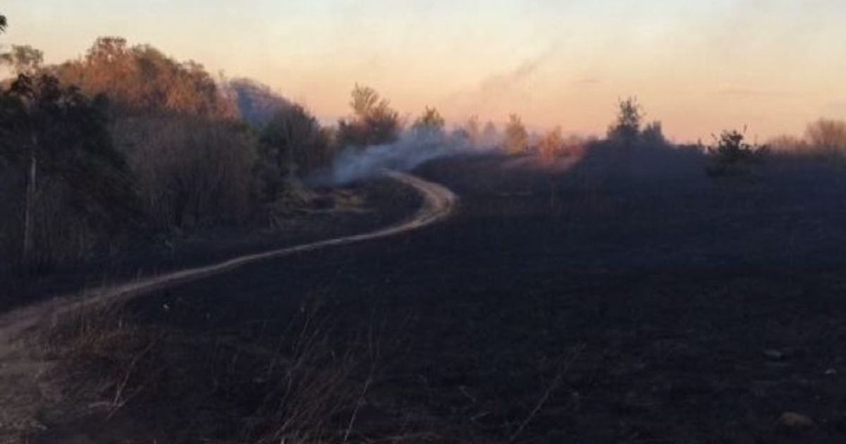 Roghi a Roma, un tappeto di cenere al parco del Pineto