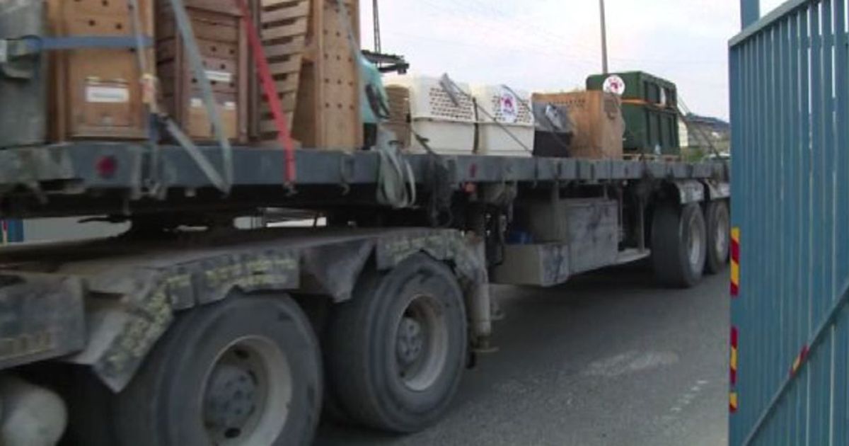 Svuotato lo zoo di Khan Yunis, cimitero simbolico di Gaza