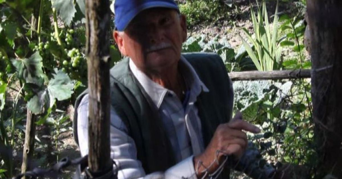 Sisma, le testimonianze da Accumoli: “Ci hanno rovinato tutto”