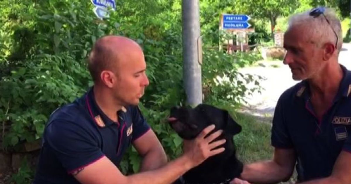 Ecco Leo, il labrador della polizia che ha salvato Giorgia