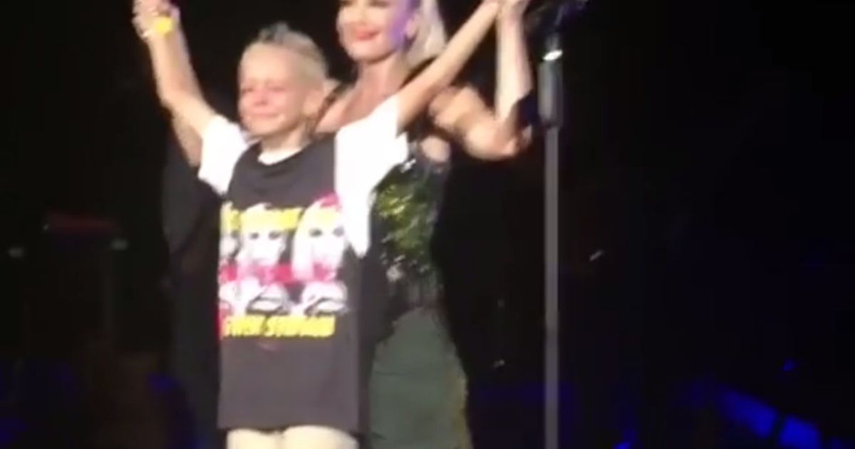Gwen Stefani e il piccolo fan sul palco