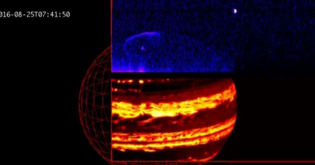 Spazio, Juno e le aurore di Giove: le prime immagini della sonda