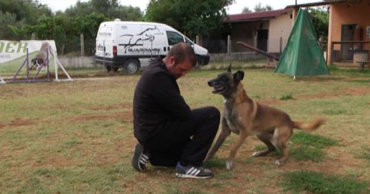 Terremoti, Unità cinofile: ecco come nasce il binomio uomo-cane