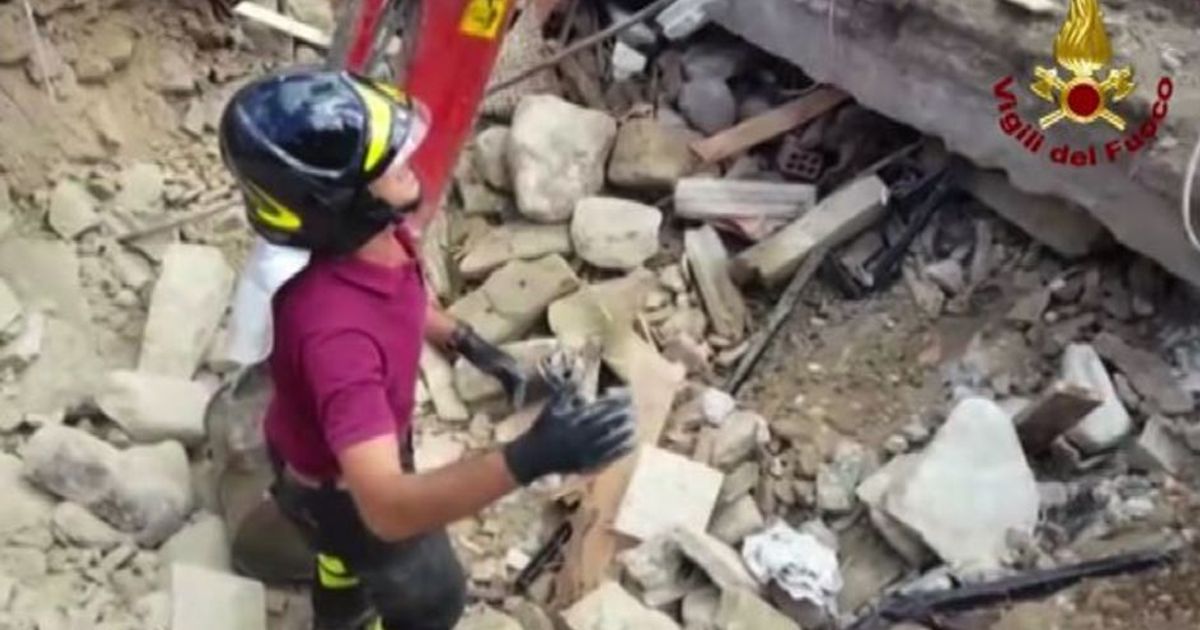 Amatrice, ritrovato vivo sotto le macerie un gatto dopo 16 giorni