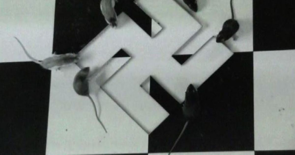 Stratificazione di una crisi: la mistica cruda di Santiago Sierra