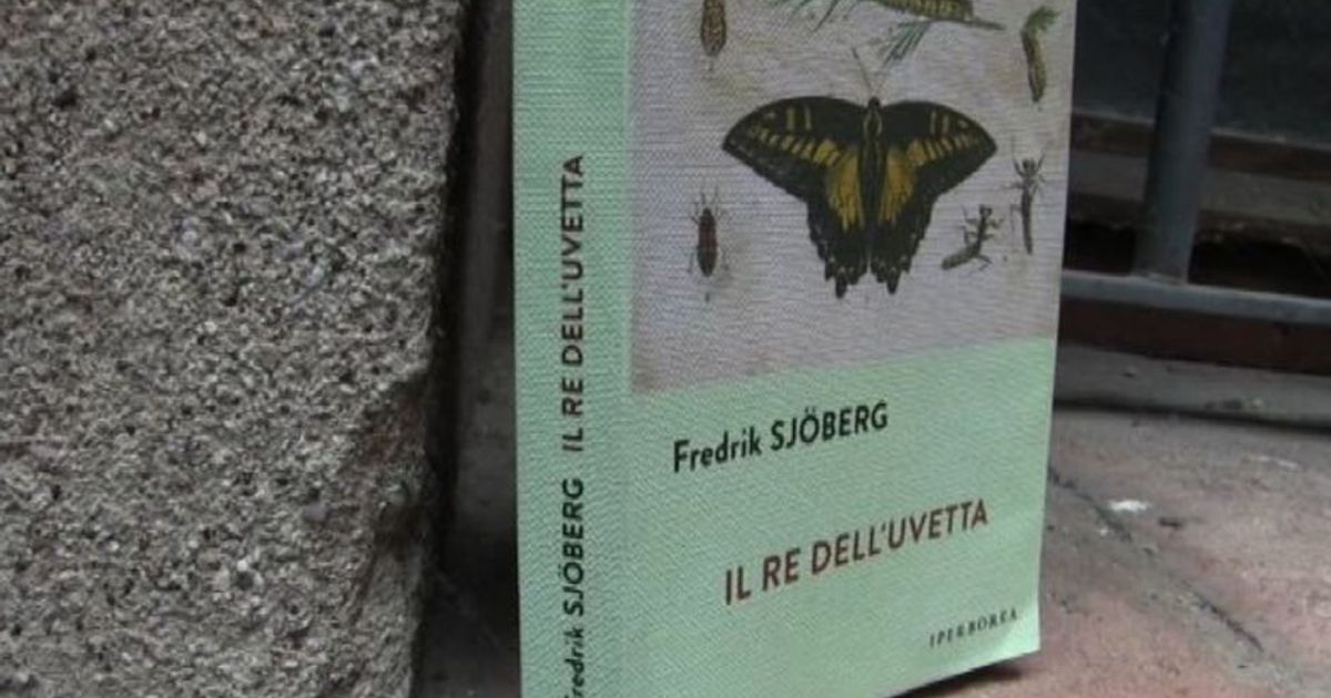 Fredrik Sjoberg: essere umani significa continuare a cercare